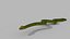 Snake Reptile Pack 8K 3D model