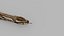 Snake Reptile Pack 8K 3D model