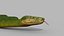 Snake Reptile Pack 8K 3D model