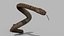 Snake Reptile Pack 8K 3D model