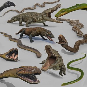Ultimate Reptile Pack 8K - 3d animated models