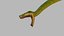 Snake Reptile Pack 8K 3D model