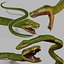 Snake Reptile Pack 8K 3D model
