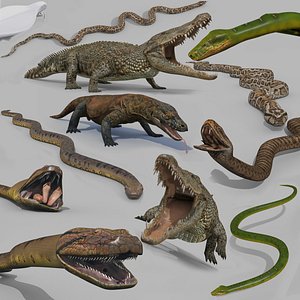 Ultimate Reptile Pack 8K - 3d animated models