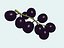 Uvas
