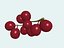 Uvas