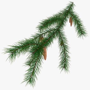 Evergreen Spruce Branch with Hanging Cones 3D model