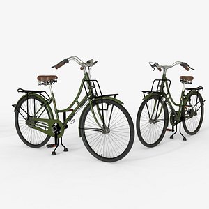 3D model Green Vintage City Bicycle