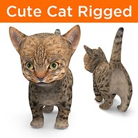 Cartoon cat rigged cute low poly