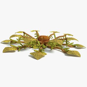 alien plant 3D
