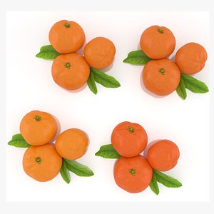 3D Mandarin citrus fruit collection