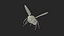Vinegar Fly In Flight