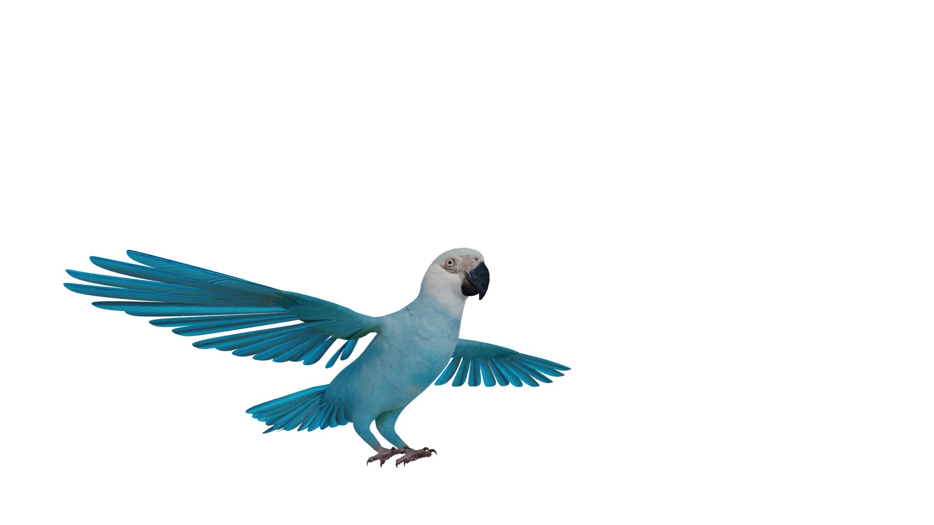 Spix Blue Macaw model https://p.turbosquid.com/ts-thumb/Zn/4HguxU/rj/spix_preview1/png/1760757774/1920x1080/fit_q87/1c48ca3ca84510810759c277e26e73b17c80f6eb/spix_preview1.jpg