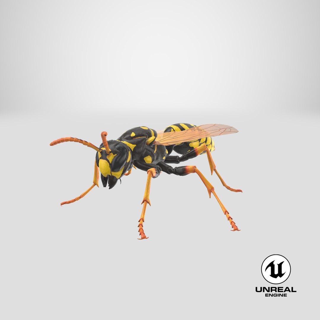 paper wasp standing model https://p.turbosquid.com/ts-thumb/Zn/4k1Lqe/6u2p8yPc/stemcell_unreal_render/png/1550250721/1920x1080/fit_q87/e6ec352de7db1976da0837f894223ec347b1e930/stemcell_unreal_render.jpg