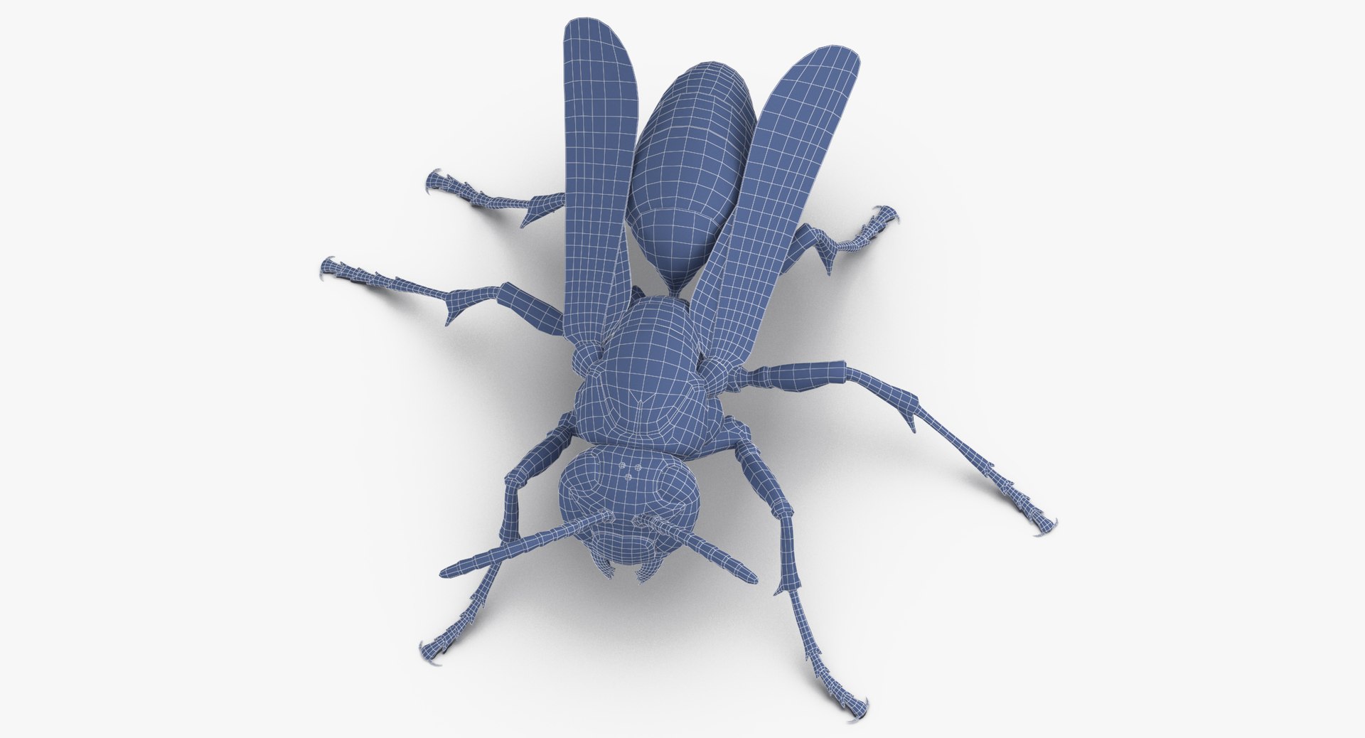 paper wasp standing model https://p.turbosquid.com/ts-thumb/Zn/4k1Lqe/7zDobRGi/paper_wasp_standing_wireframe_0004/jpg/1547625065/1920x1080/fit_q87/54369979c018a07b2a37a48c0832992ac856d80d/paper_wasp_standing_wireframe_0004.jpg