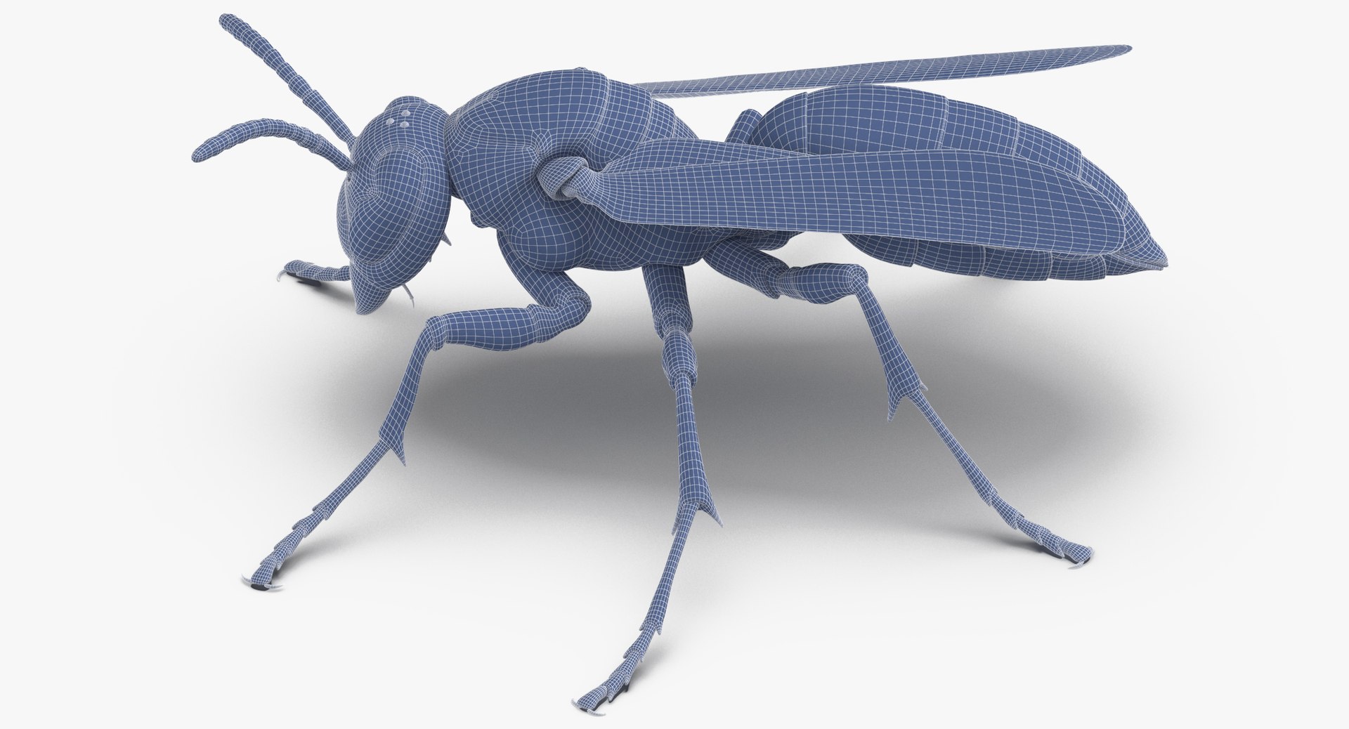 paper wasp standing model https://p.turbosquid.com/ts-thumb/Zn/4k1Lqe/PphvQ53f/paper_wasp_standing_wireframe_01_0006/jpg/1547625064/1920x1080/fit_q87/4ef14f346bc0999becda892e3e0ba2017c2fbcea/paper_wasp_standing_wireframe_01_0006.jpg