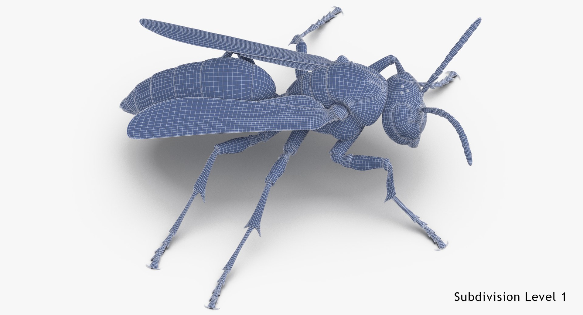 paper wasp standing model https://p.turbosquid.com/ts-thumb/Zn/4k1Lqe/WgFrsUeh/paper_wasp_standing_wireframe_subdiv_1/jpg/1547625065/1920x1080/fit_q87/55f8e23130a9e3eab82dbad6993b4414f3e4bc6b/paper_wasp_standing_wireframe_subdiv_1.jpg