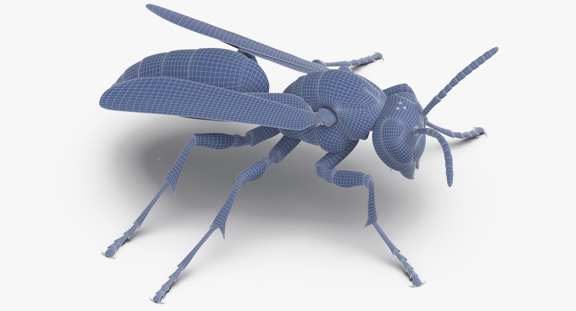 paper wasp standing model https://p.turbosquid.com/ts-thumb/Zn/4k1Lqe/Yjmmy5Qj/paper_wasp_standing_wireframe_01_0005/jpg/1547625064/1920x1080/fit_q87/b936d87e21b0c94c7e633d5e158b6ca81f8377b0/paper_wasp_standing_wireframe_01_0005.jpg
