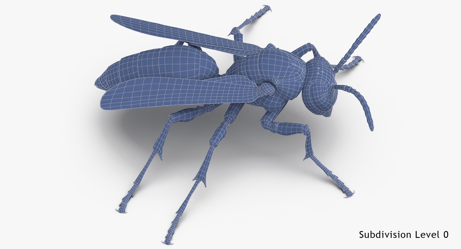 paper wasp standing model https://p.turbosquid.com/ts-thumb/Zn/4k1Lqe/auE1dWRO/paper_wasp_standing_wireframe_subdiv_0/jpg/1547625065/1920x1080/fit_q87/cbbcf0fdcb34fa1515fe3742a718784dfd4b3ea8/paper_wasp_standing_wireframe_subdiv_0.jpg