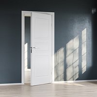 Door 01