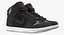 Skateboard Shoe Nike SB Dunk High Pro Black