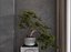 Chinese-style Tea Room Interior Design