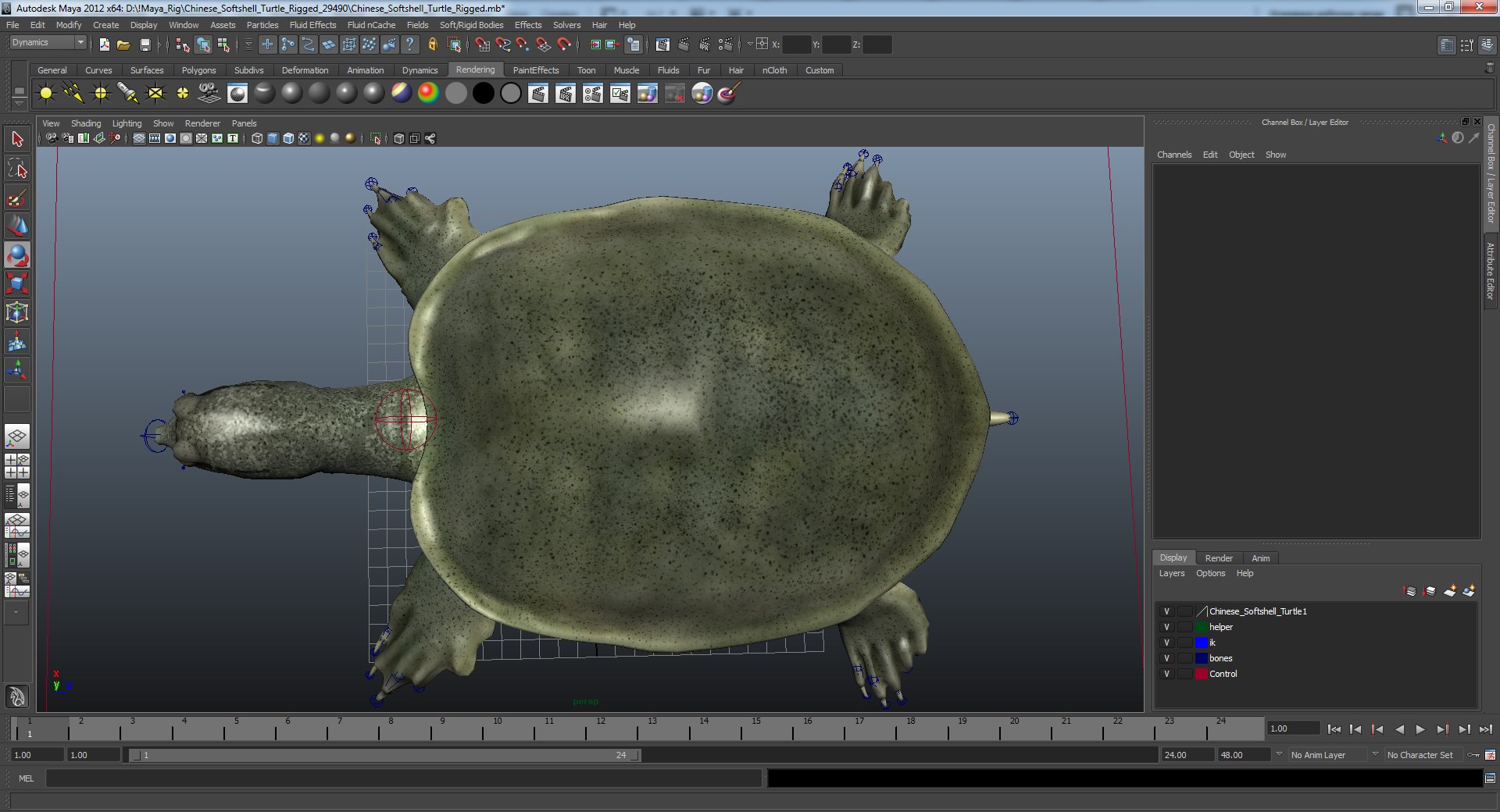 Ma Chinese Softshell Turtle Rigged