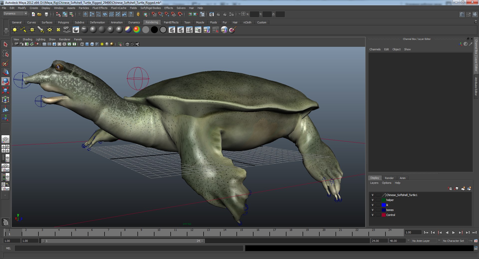 ma chinese softshell turtle rigged
