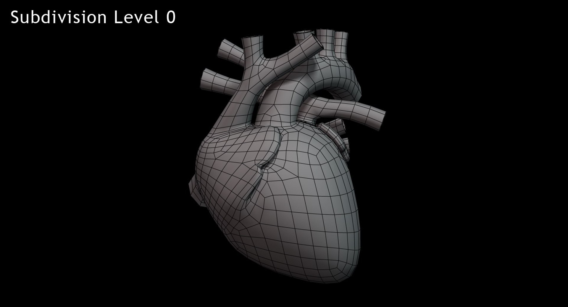 Human Heart Rigged 3d Max