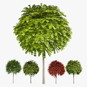 3D model Realistic Mop Top Trees