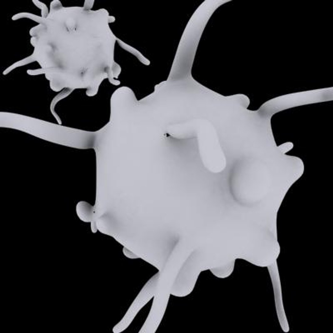 single celled organism 3d model https://p.turbosquid.com/ts-thumb/Zo/1JY2yP/09B2djYq/4/jpg/1268670905/1920x1080/fit_q87/52994f67868e8602c1031c0c2a63ea59f1de2c23/4.jpg