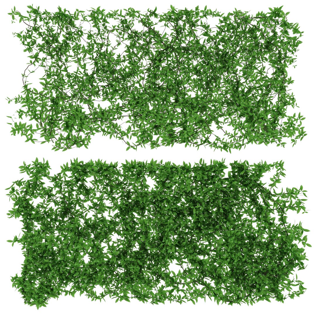 wall leaves 3d model