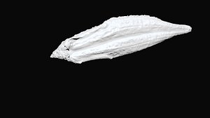 Grilled Eel 3D CT scan model decimate 8 percent