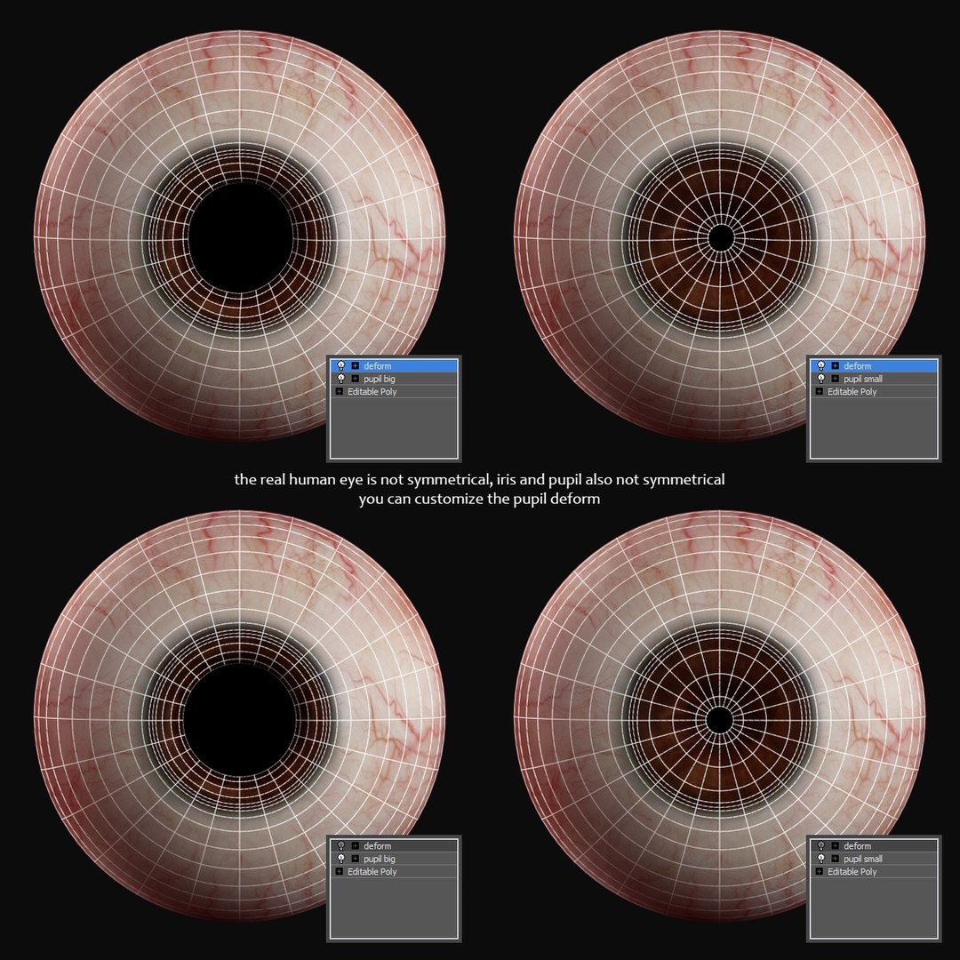 3d max realistic human eye - https://p.turbosquid.com/ts-thumb/Zo/9nmvgp/HlSi1rkx/eye_pupil_1/jpg/1401287582/1920x1080/fit_q87/c75c699438d39e4fa1c4dc5516d9ec25f00e107e/eye_pupil_1.jpg