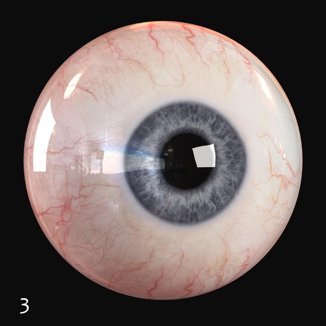 3d max realistic human eye - https://p.turbosquid.com/ts-thumb/Zo/9nmvgp/YLgjp3mH/iris_3/jpg/1401293714/1920x1080/fit_q87/bfb0847a28d98527d5b719a4b57d1b6ac661975a/iris_3.jpg