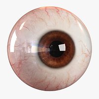 Realistic Human Eye - Lite