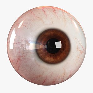 Realistic Human Eye - Lite