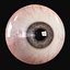 Realistic Human Eye - Lite