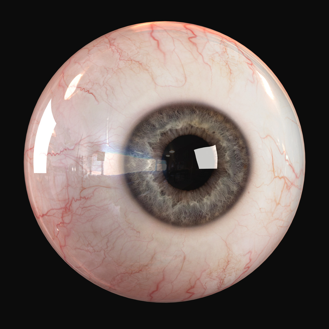 3d max realistic human eye - https://p.turbosquid.com/ts-thumb/Zo/9nmvgp/hNMWuak9/pupil1/jpg/1401287484/1920x1080/turn_fit_q99/4f45308ecd71e97a7d8cb4f0f123052733625d9a/pupil1-1.jpg