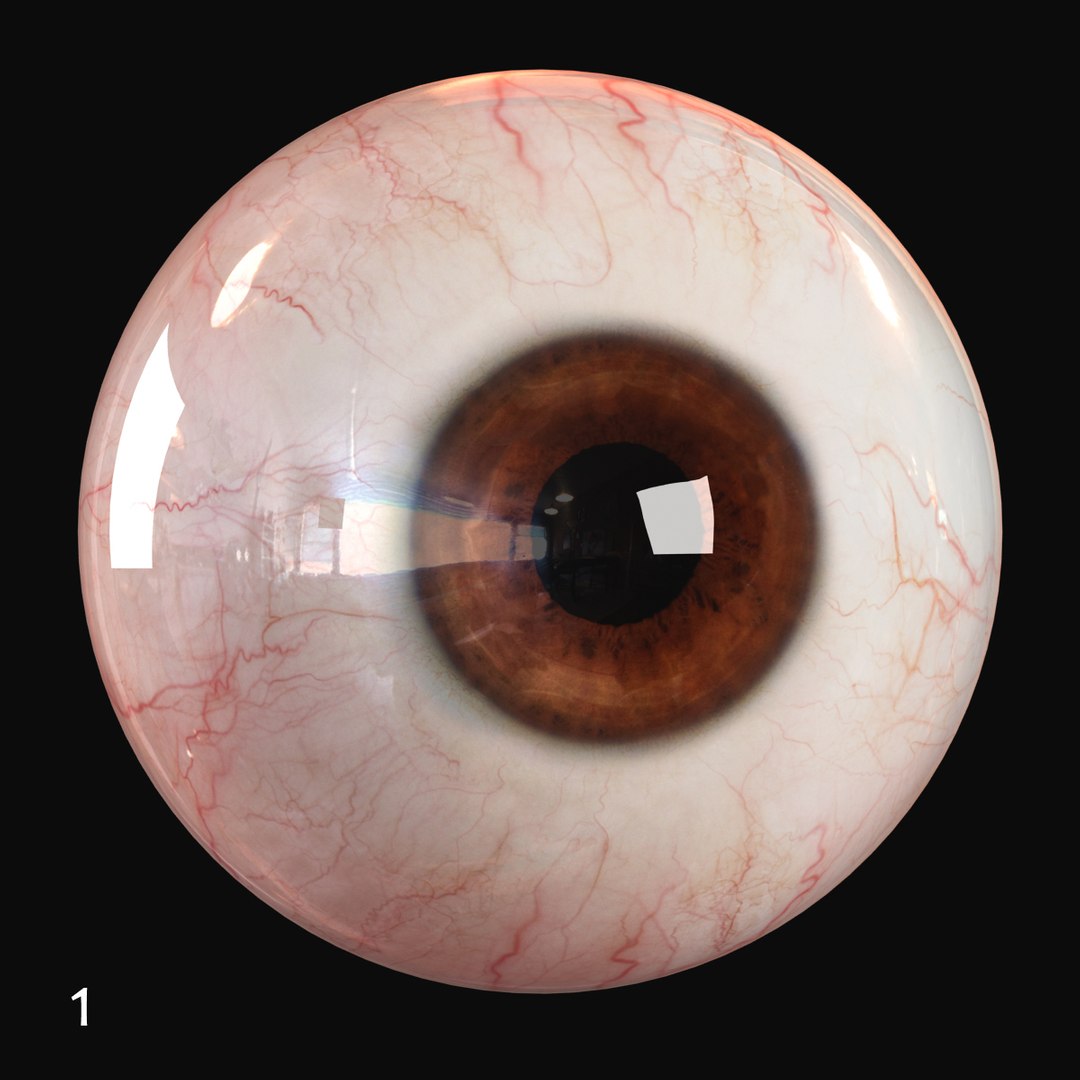 3d max realistic human eye - https://p.turbosquid.com/ts-thumb/Zo/9nmvgp/uREQMPbd/iris_1/jpg/1401293714/1920x1080/fit_q87/da150b4155a9667bdb6b35195c3baba3ac0496f9/iris_1.jpg