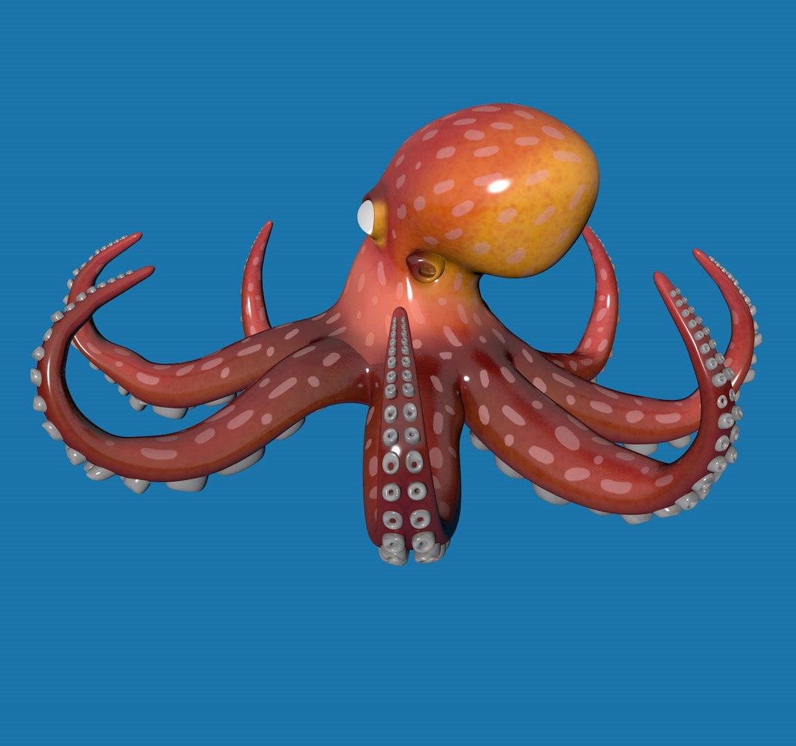 3D Octopus Rigged Model - TurboSquid 1589040