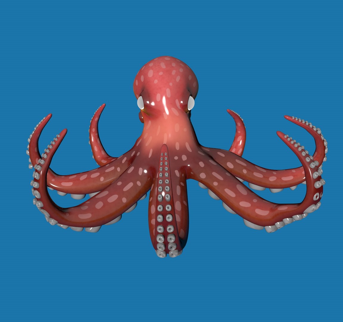3D Octopus Rigged Model - TurboSquid 1589040