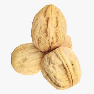 Walnut whole model