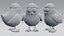 Cartoon chicken