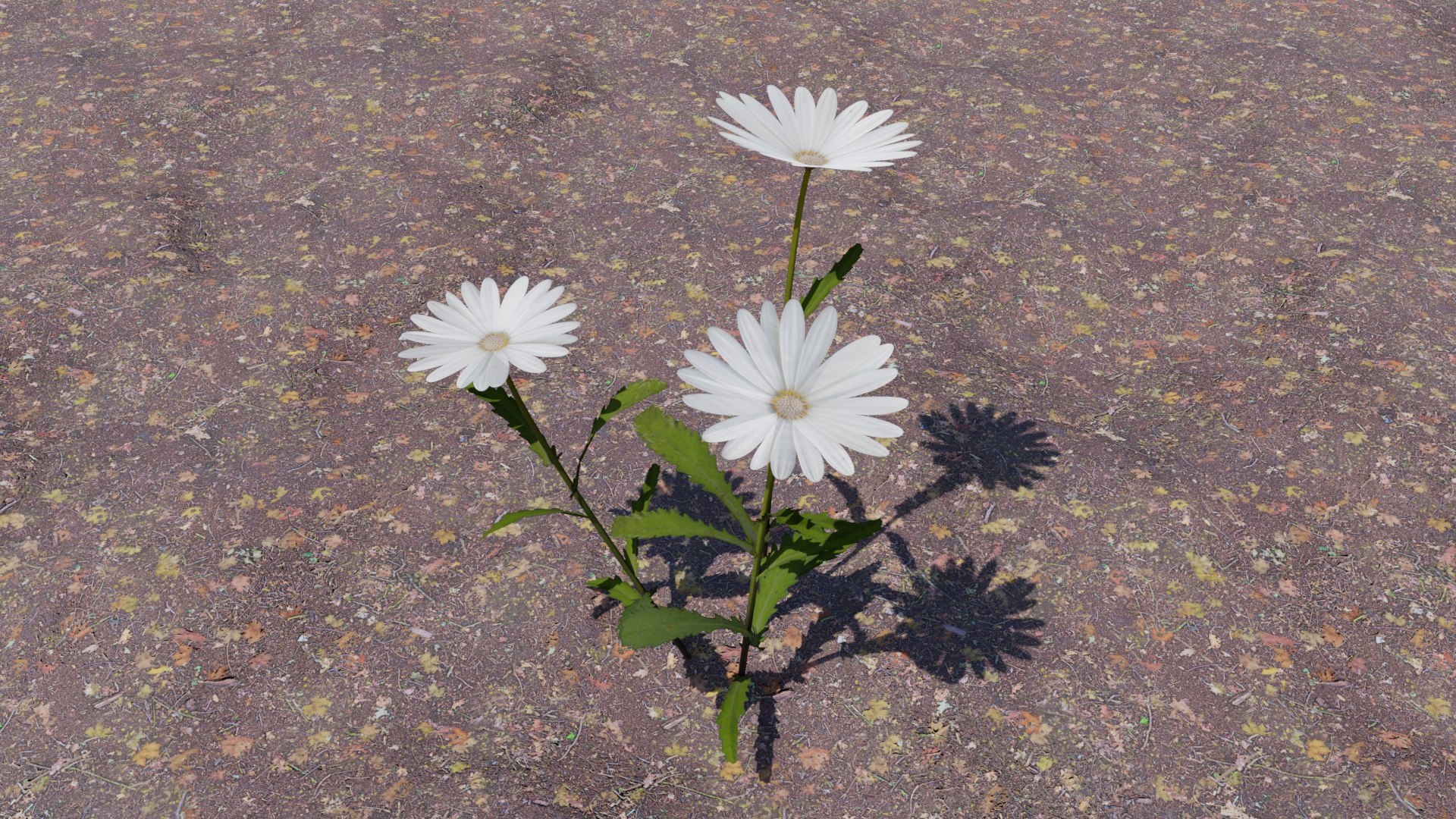 Flowering Plants Collection 3D model https://p.turbosquid.com/ts-thumb/Zo/NmrKuL/33/flower03/png/1680484115/1920x1080/fit_q87/6d4de4d00bfef0cd28e3071c310921126005b12b/flower03.jpg