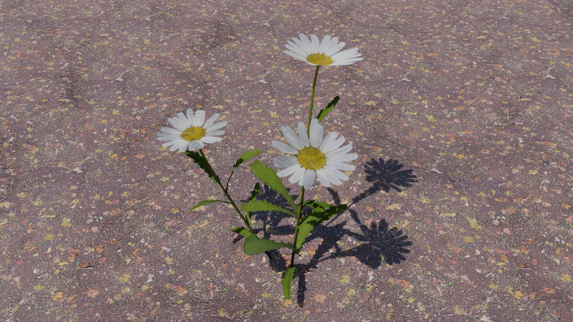 Flowering Plants Collection 3D model https://p.turbosquid.com/ts-thumb/Zo/NmrKuL/54/flower15/png/1680484123/1920x1080/fit_q87/5b6ddc5a8dba63a98141b6d81ce23394d993cb1a/flower15.jpg