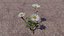 Blumen