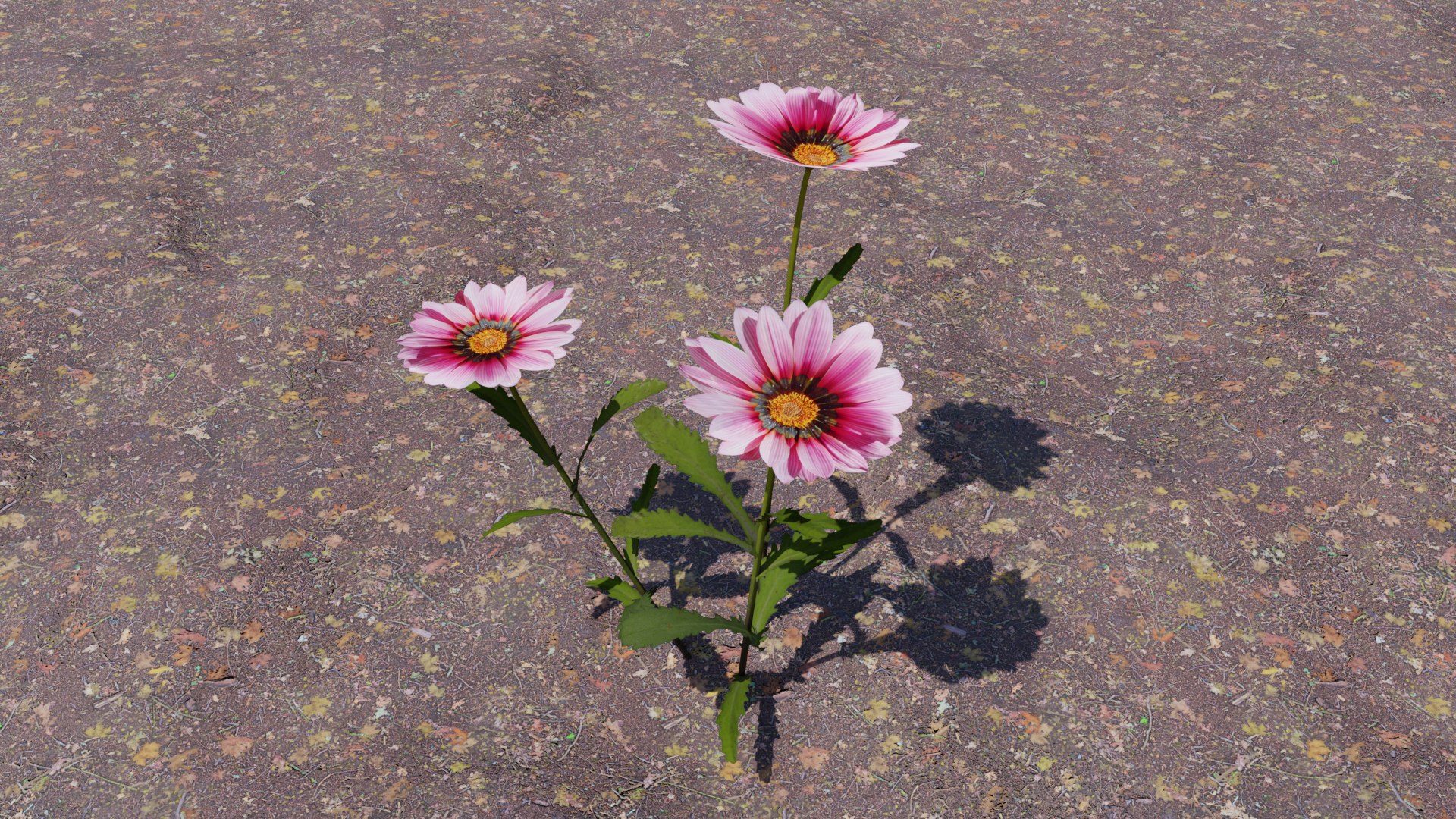 Flowering Plants Collection 3D model https://p.turbosquid.com/ts-thumb/Zo/NmrKuL/7z/flower09/png/1680484121/1920x1080/fit_q87/77b7923329fa7e3c3af099aa088b4bfa94bb24c0/flower09.jpg