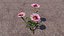 Blumen