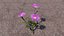 Blumen
